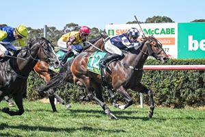 WARREN VICTORIOUS AT TERANG